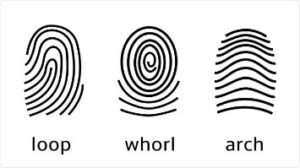 FINGERPRINT ANALYSIS