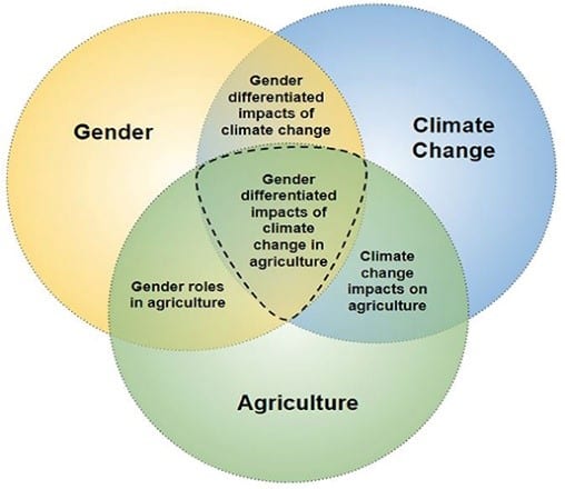Gender Integration In Addressing Climate Policies And Promoting Climate Resilience