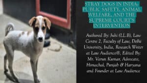 Read more about the article STRAY DOGS IN INDIA: PUBLIC SAFETY, ANIMAL WELFARE, AND THE SUPREME COURT’S INTERVENTION